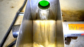 Waste water treatment effluent