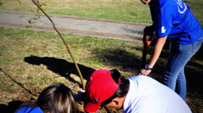 World Water Day Volunteering Event: Tree Planting at a local park