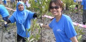 Planting for Future - Mangrove Forest Conservation Program